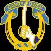 7TH CAV RGT